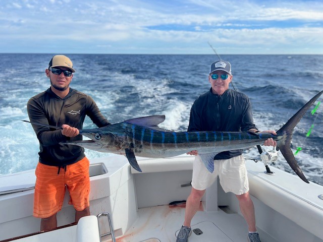 Trophy marlin breaching at sunset